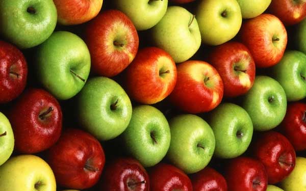 Food Cluster maakt regio (weer) koploper in voeding